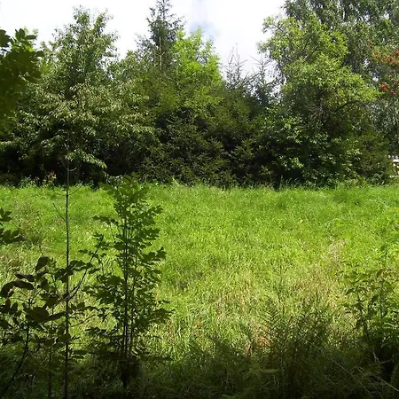 Fruehstueckspension Zur Post 2* Taxenbach