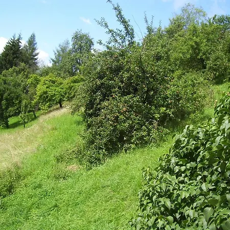 Fruehstueckspension Zur Post