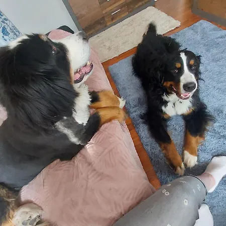 Fruehstueckspension Zur Post 2* Taxenbach