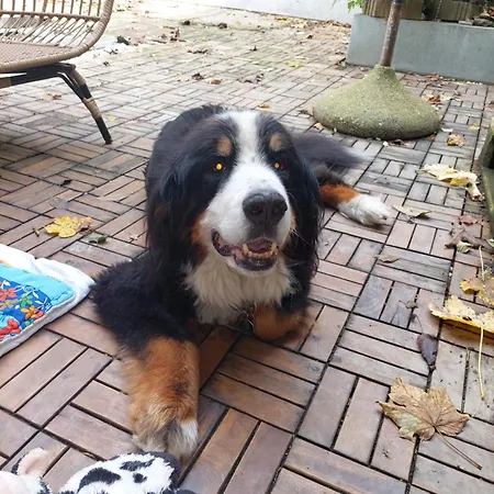 Fruehstueckspension Zur Post